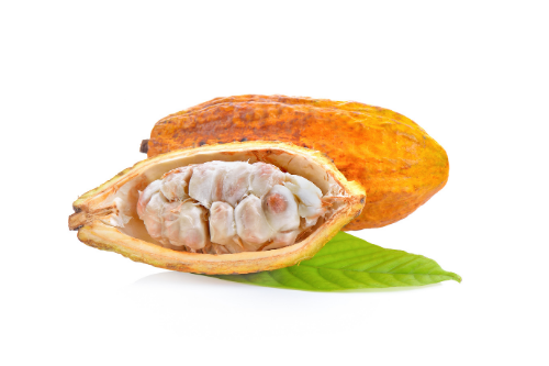 Cacao Fruit Exotisch Fruit