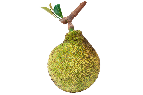 Jackfruit met wit achtergrond, Exotisch Fruit