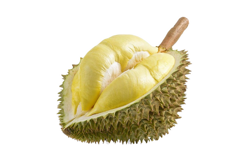 Durian met wit achtergrond, Exotisch Fruit