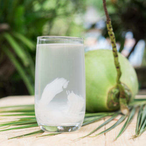 vrijwilliger De eigenaar referentie Waarom is kokoswater zo gezond na het sporten? | Fruit uit Zuid | Blog