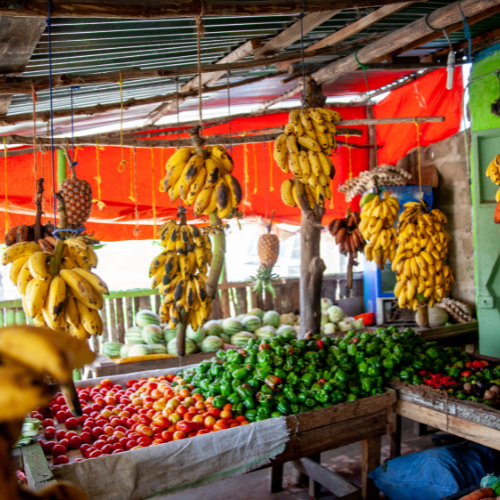blogpost welke tropische vruchten zijn er en hoe waar kun je ze kopen (2)