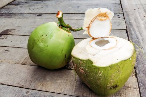 jonge kokosnoot kopen