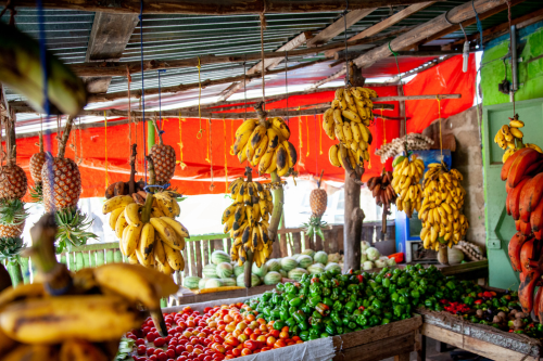 tropisch fruit kopen winkel 6. Weetjes waarom tropisch fruit gezonder is dan ‘normaal’ fruit