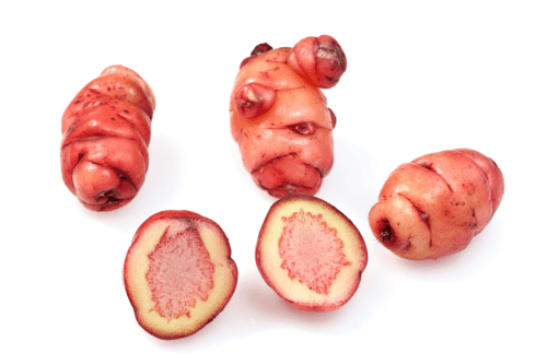 oca de Peru exotische groenten